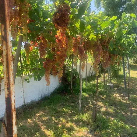 Kır Evi Zoe *