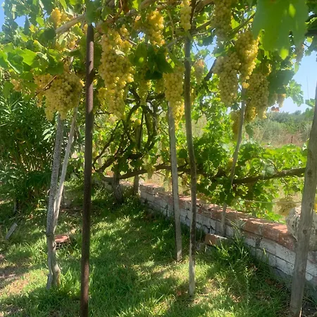 Zoe Country house