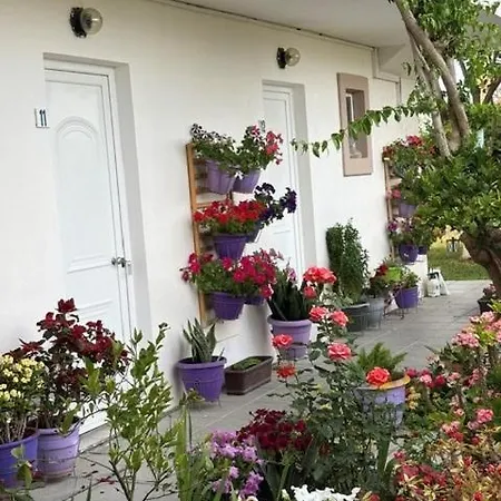 Séjour à la campagne Zoe *