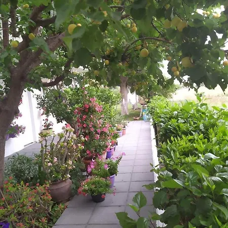 Zoe Country house Marmari (Kos)