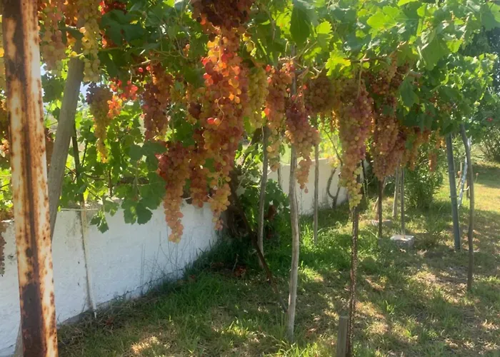 Hétvégi ház Zoe *